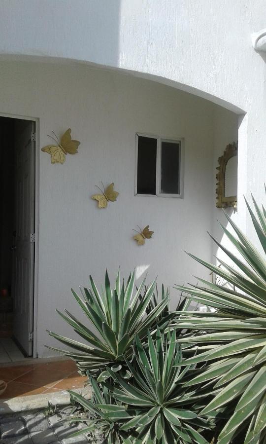 Casa Mariposas Apartamento Cancún Exterior foto